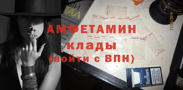 шишки Абаза