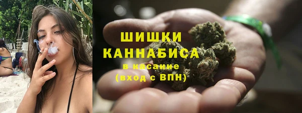шишки Абаза