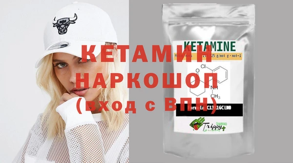 шишки Абаза