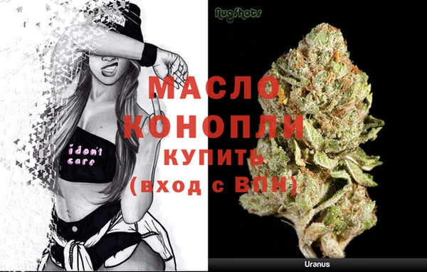 шишки Абаза