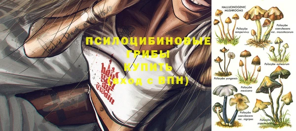 шишки Абаза