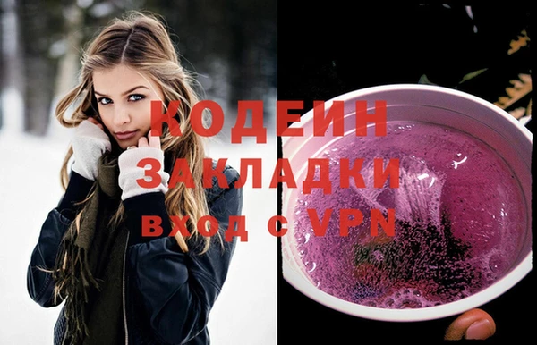 шишки Абаза