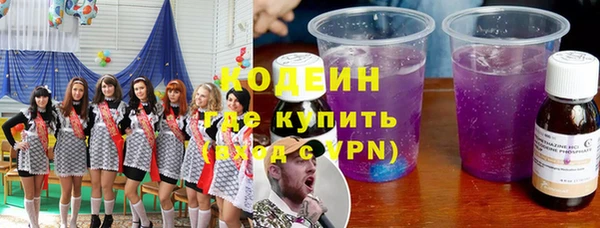 шишки Абаза