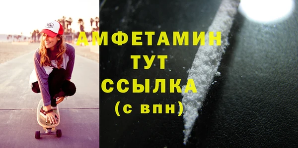 шишки Абаза
